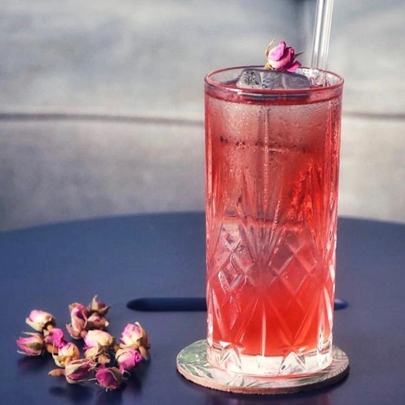 Cranberry Spritz Image