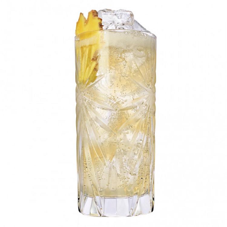 Scotch Ginger Highball Image